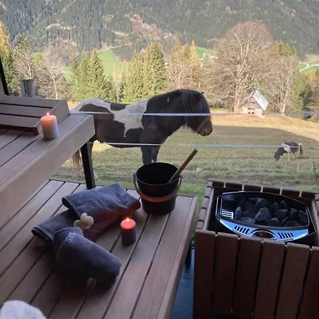 Rubin By Interhome * Schladming