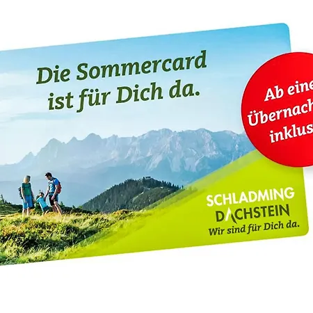 Rubin - Sld600 By Interhome * Schladming